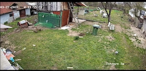 Defrișări terenuri,curți ,toaletări copaci vie flori agățătoare ,tăiat spart aranjat lemne material 