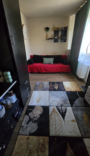 BAIA MARE, Aleea Neptun, Ap 2 camere, 38 MP, et. 4 4  48500 , usor negociabil - imagine 6