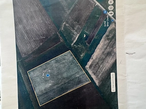 Teren agricol de vânzare   6,2 ha comasate   Talpoș, comuna Batăr, județul Bihor