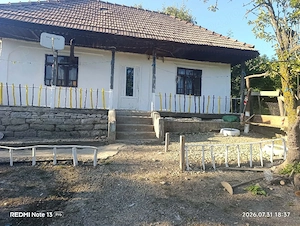 SCHIMB proprietate în județul Bacău cu casă în Caraș-Severin  - imagine 3