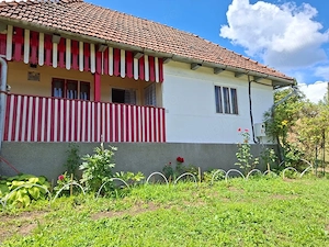 Vand casa la tara - imagine 2