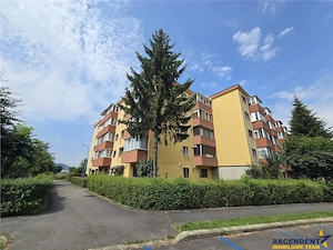 Decomandat, etaj1, Living + 2 dormitoare  boxa 14 mp, 2 balcoane, Triaj, Brasov - imagine 15