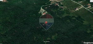 Comision 0% | Teren 10.000 mp în Glăjerie, Râșnov - imagine 2