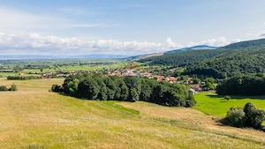 Comision 0| Proprietate cu 7 construcții intabulate și teren 16.873 mp - imagine 5