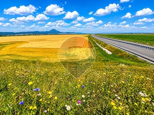 Teren extravilan 17,000mp Rasnov langa Autostrada A3, zona industriala - imagine 6