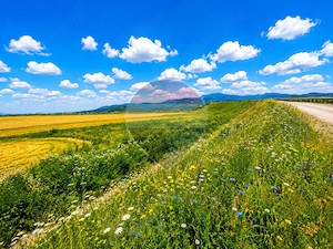 Teren extravilan 17,000mp Rasnov langa Autostrada A3, zona industriala - imagine 4