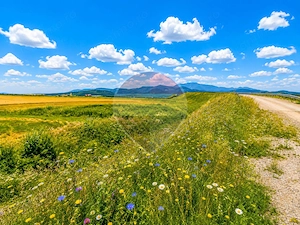 Teren extravilan 17,000mp Rasnov langa Autostrada A3, zona industriala - imagine 7