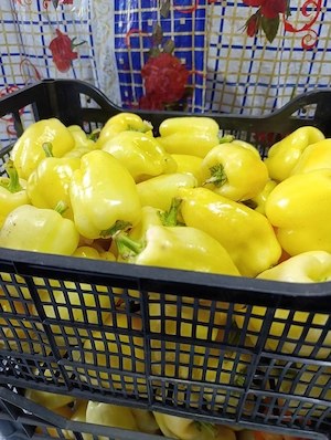 Zarzavat pentru ciorbă 