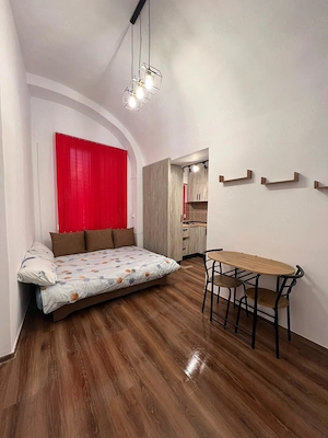 Regim Hotelier Apartament Centru Arad