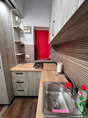 Regim Hotelier Apartament Centru Arad - imagine 4