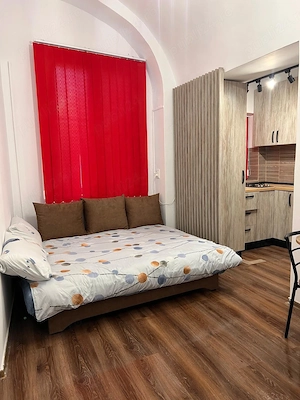 Regim Hotelier Apartament Centru Arad - imagine 3