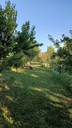 casă Ciolpani, km 35 - imagine 4