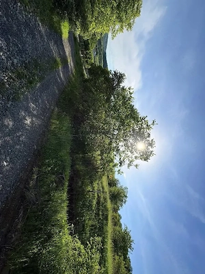 Teren Viișoara, Bistrița 