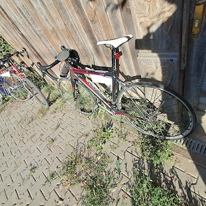 Bicicleta de vanzare - Racing -Ellen von Dijk