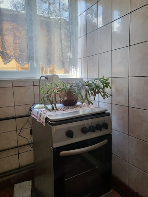 vand casa in BUSTENI PH - imagine 3