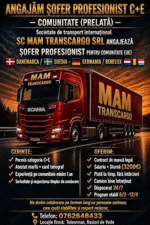 angajez sofer C+E  pentru transport internațional