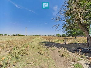 Teren intravilan 146.866 mp | Jimbolia - imagine 13