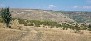  Teren,extravilan de Cj,Colonia,Valea Calda ,12 ha compact,260000 eur neg  - imagine 2