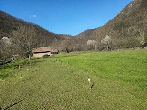 Teren de închiriat   5.622 mp   Mehadia   - imagine 2
