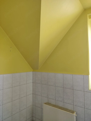 de vanzare casa in Satu Mare strada Bradului - imagine 6