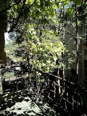 Camera cu pat dublu, de inchiriat. - imagine 2