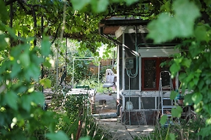 Casă cu curte proprie, zona Giurgiului - Zetarilor - Str. Cheia nr. 17 - imagine 7