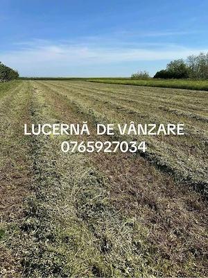 baloti de lucerna de vanzare
