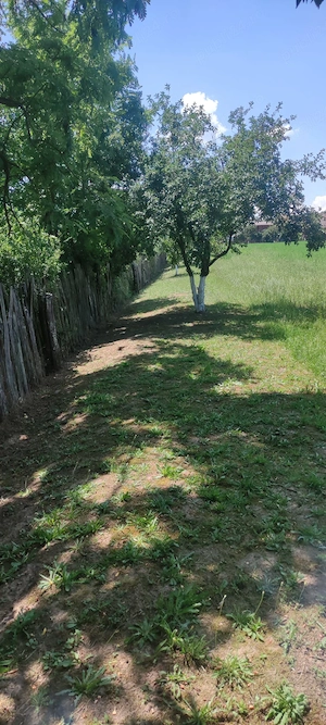 Vand casa in sat olosag - imagine 4