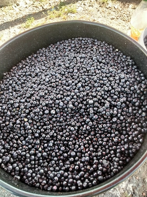 Afine de vânzare 