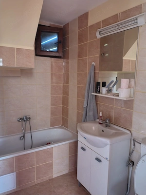 Vand teren  2400 mp si casa de vacanta in comuna Borsa Cluj - imagine 8