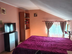 Vand teren  2400 mp si casa de vacanta in comuna Borsa Cluj - imagine 9