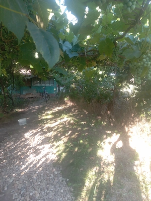 casă in comuna Ulmeni Băltăreți  - imagine 8