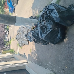 Prestari sevicii,de grădinărit si zootehnie  - imagine 4