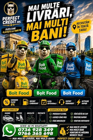 Angajam livratori BOLT FOOD!Urgent