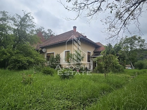 Proprietate cu potential turistic in Gurahont - imagine 4