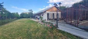 Casa individuala de vanzare cu teren de 2000 mp, Fratelia, Timisoara - imagine 3