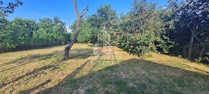 Casa individuala de vanzare cu teren de 2000 mp, Fratelia, Timisoara - imagine 4