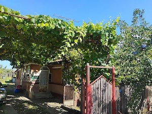 Casa de vanzare in comuna Bilciuresti, Dambovita - imagine 2