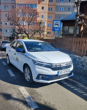 Taxi de vanzare echipat complet