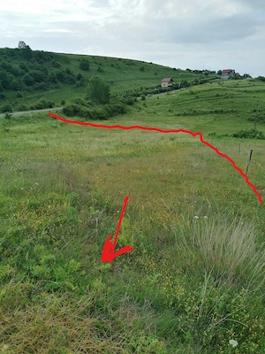 Teren 3600 mp, Ciurila, Jud. Cluj - imagine 5