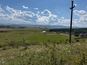 Teren 3600 mp, Ciurila, Jud. Cluj