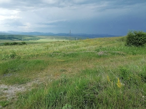 Teren 3600 mp, Ciurila, Jud. Cluj - imagine 8