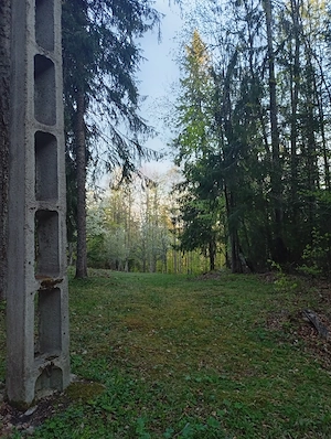 Vând teren extravilan in Gârda de Sus, Sat Ghețari