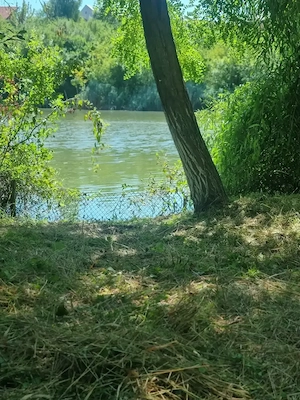 Teren de vanzare 512 MP deschidere direct la Balta Pipera - imagine 2