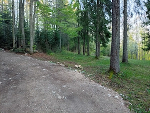 Vând teren extravilan in Gârda de Sus, Sat Ghețari - imagine 4
