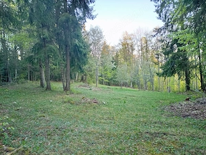 Vând teren extravilan in Gârda de Sus, Sat Ghețari - imagine 3
