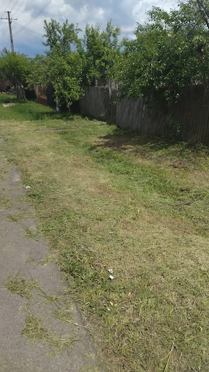 Vand Casă bătrânească +pădure 740 mp+2, 30hComună Leleasca Judetul Olt 45 km de Pitești  - imagine 7