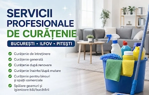 Servicii profesionale de curățenie!