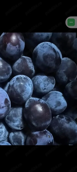Vand palinca de prune sau fructe!