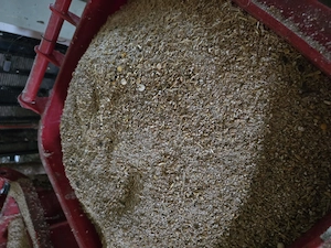 Se vinde porc 140 kg natural - imagine 3